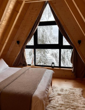 Molika Forest House